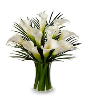 10 Stunning Calla Lilies