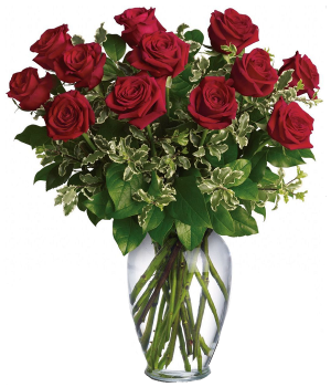 12 Extra Long Stemmed Red Roses