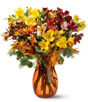 50 Blooms of Alstroemeria