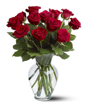 One Dozen Long Stemmed Red Roses