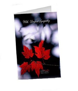 Full Size Sympathy Card