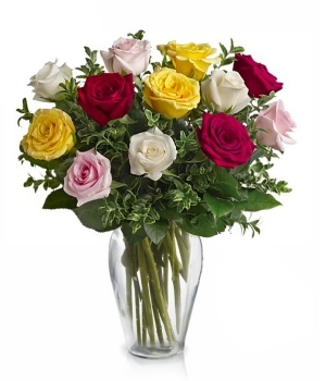 One Dozen Assorted Long Stem Roses