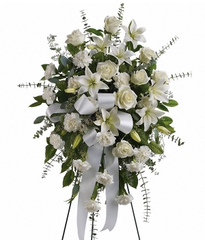 Sentiments of Serenity Spray