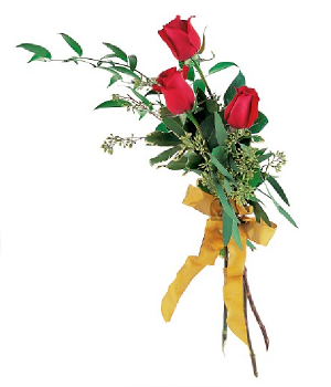 Touch Of Red Roses